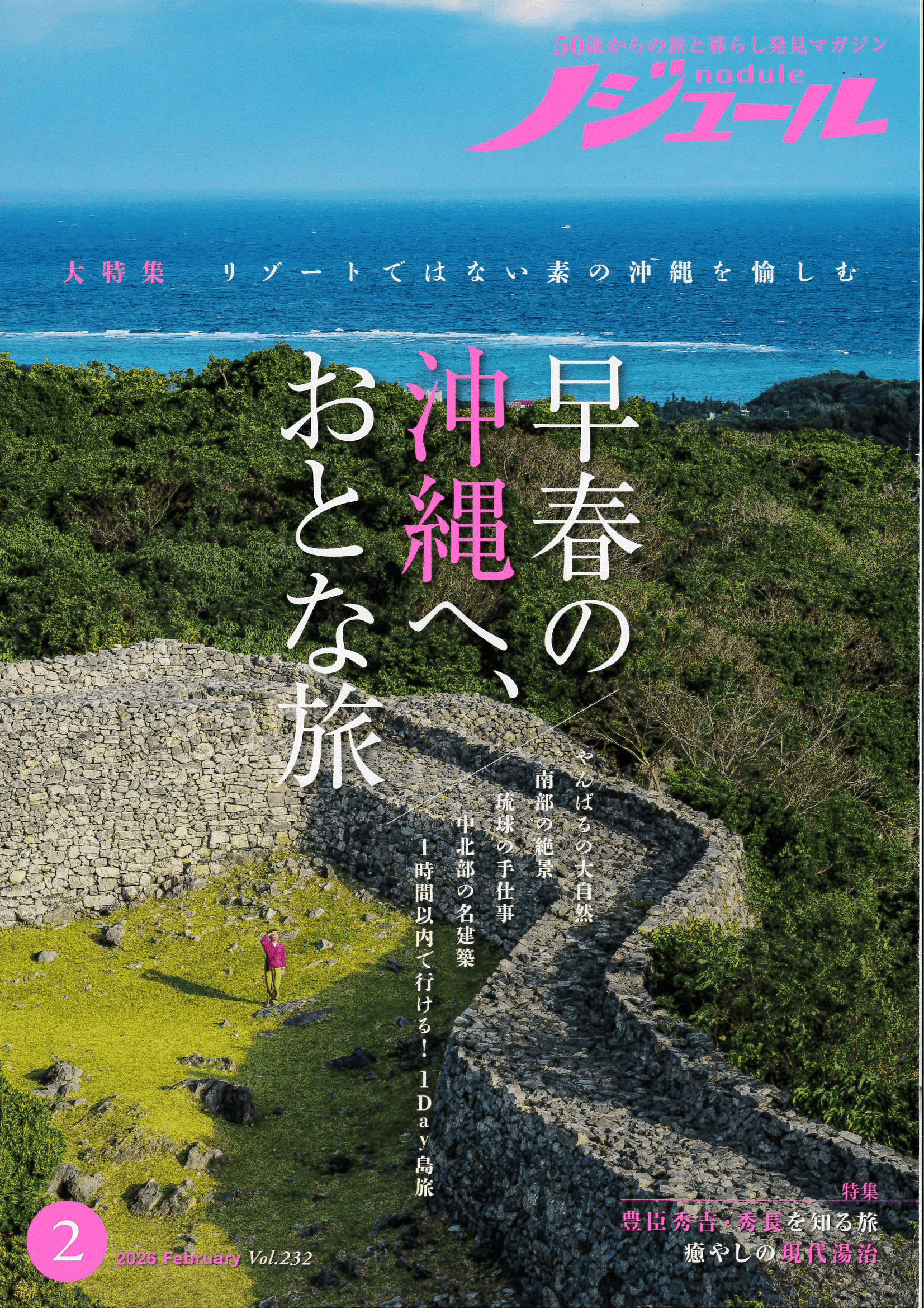 ノジュール 表紙.png (1653×2338)